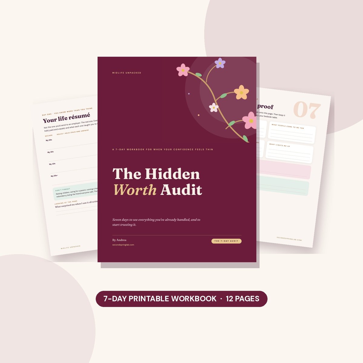 The Hidden Worth Audit