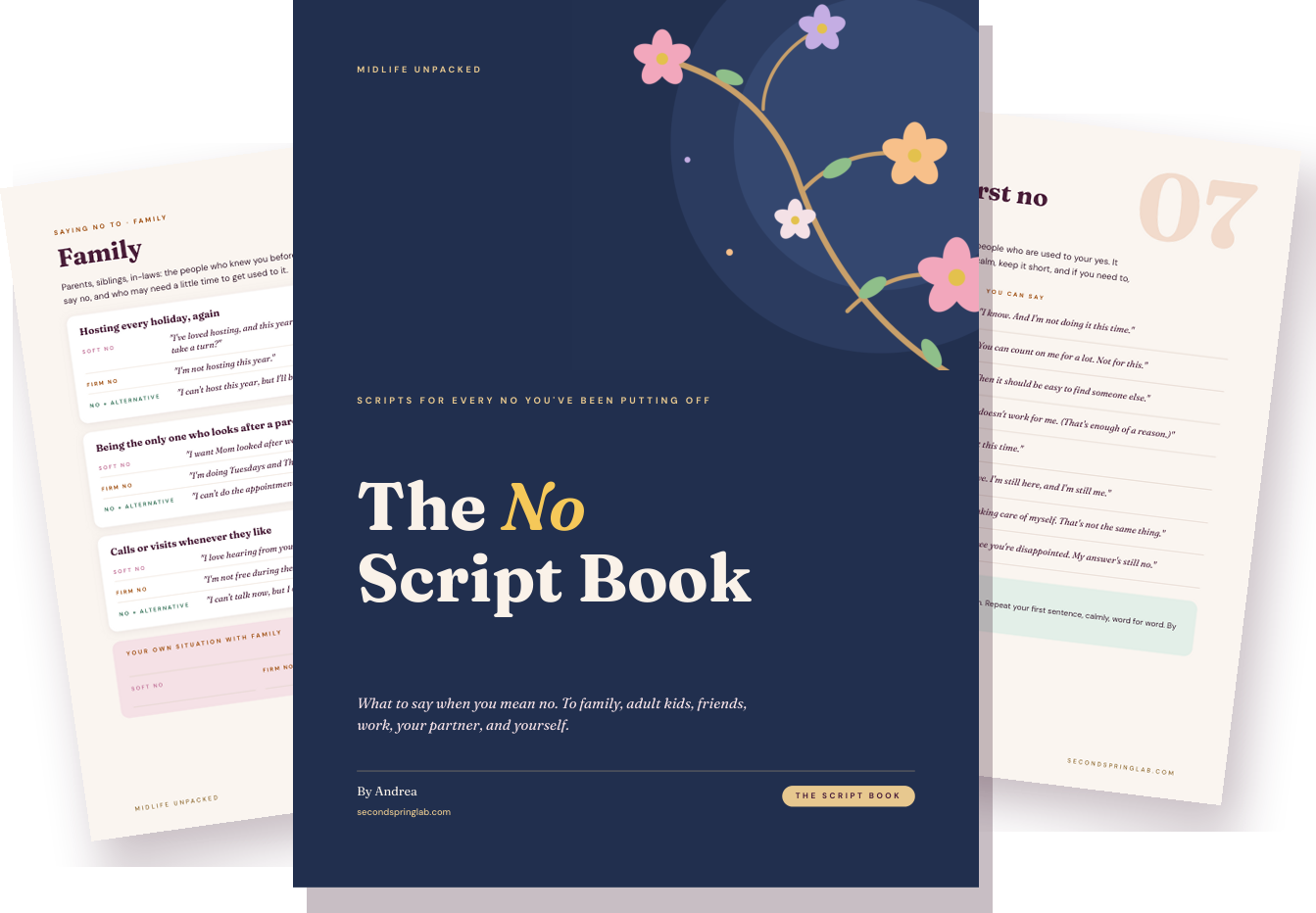 The No Script Book cover with two inside pages